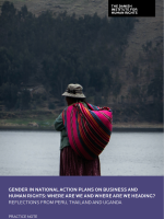 Cover of case study on gender in national action plans on business and human rights. Image shows a woman facing a body of water, carrying a colorful bag on her back
