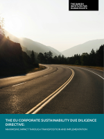 Cover of publication on the EU Corporate Sustainability Due Diligence Directive. Image shows an empty curving road, with trees and mountains in the background, lit by golden sunlight.