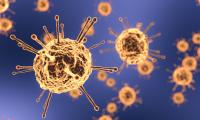 A picture of the coronavirus